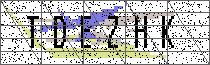 Carregando captcha...