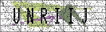 Carregando captcha...