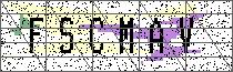 Carregando captcha...