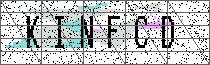 Carregando captcha...