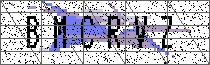 Carregando captcha...