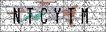 Carregando captcha...