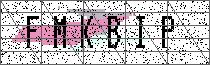 Carregando captcha...