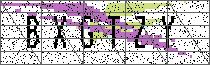 Carregando captcha...