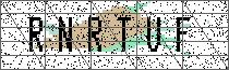 Carregando captcha...