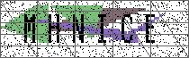 Carregando captcha...