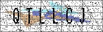Carregando captcha...
