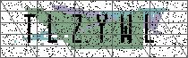 Carregando captcha...