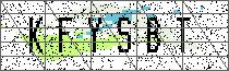 Carregando captcha...