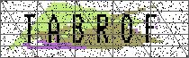 Carregando captcha...