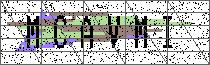 Carregando captcha...