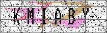 Carregando captcha...
