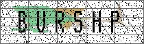 Carregando captcha...