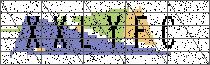 Carregando captcha...