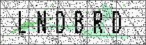 Carregando captcha...