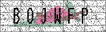Carregando captcha...