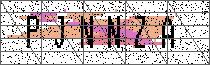 Carregando captcha...