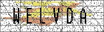 Carregando captcha...