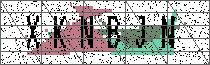 Carregando captcha...