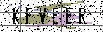 Carregando captcha...