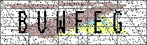 Carregando captcha...