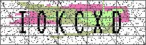 Carregando captcha...