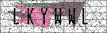 Carregando captcha...