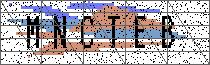 Carregando captcha...