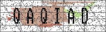 Carregando captcha...