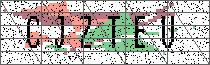 Carregando captcha...