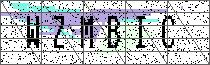 Carregando captcha...