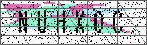 Carregando captcha...