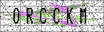 Carregando captcha...