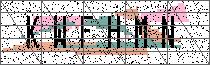 Carregando captcha...