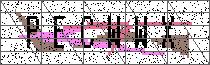Carregando captcha...