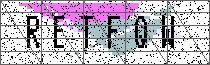 Carregando captcha...