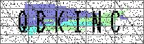 Carregando captcha...