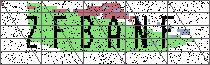 Carregando captcha...