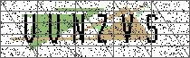 Carregando captcha...