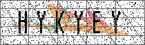 Carregando captcha...