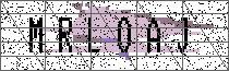 Carregando captcha...