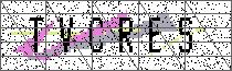 Carregando captcha...