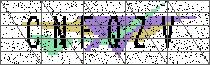 Carregando captcha...
