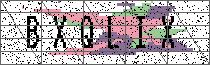 Carregando captcha...