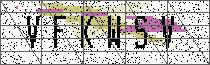 Carregando captcha...
