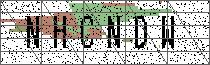 Carregando captcha...