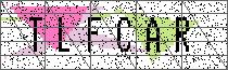 Carregando captcha...