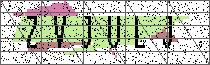 Carregando captcha...