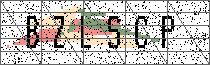 Carregando captcha...