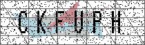 Carregando captcha...